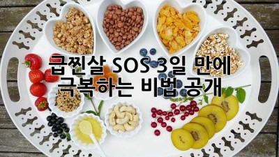 🚨 급찐살 SOS! 3일 만에 극복하는 비법 공개 🤫